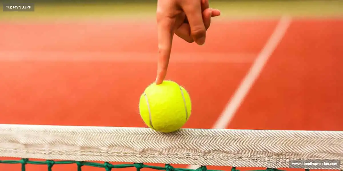 j9国际版——健康体魄,从运动开始!🏋️♀️